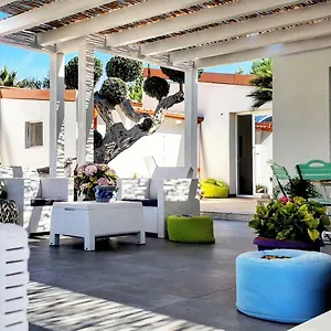 Masa Zingarello